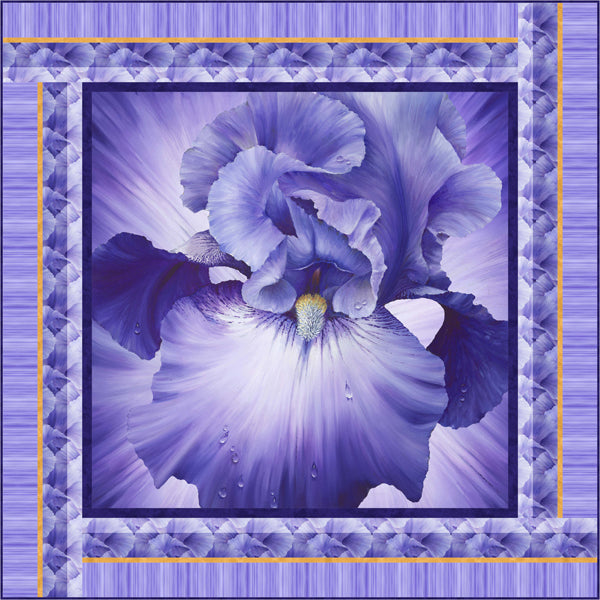 Borderline Quilt PVQ-044e - Downloadable Pattern