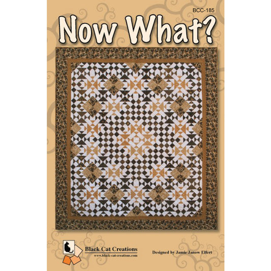 Cover image of pattern for Now What? Quilt.