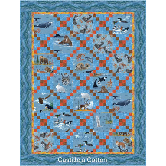 Land Sea Sky Quilt CJC-47759e - Downloadable Pattern
