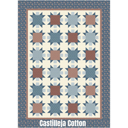 Stratford Stars quilt features star blocks with a medium motif fabric center. This is a pretty one block, Ohio Stars quilt.