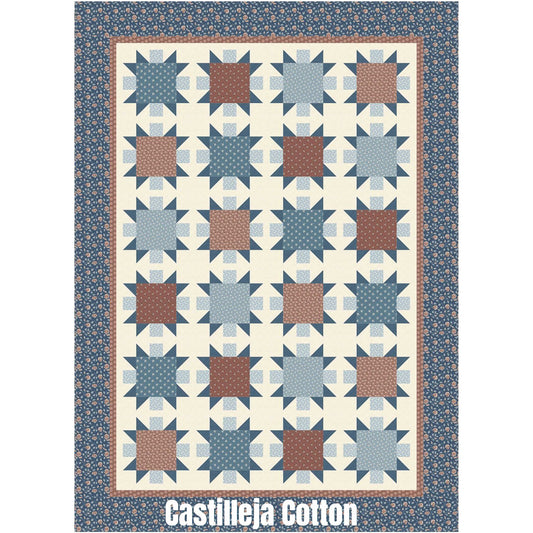 Stratford Stars quilt features star blocks with a medium motif fabric center. This is a pretty one block, Ohio Stars quilt.