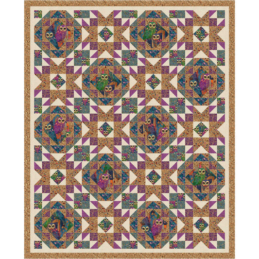 Everyone loves owls and these are just too cute in this quilt. Owl fabric in diamonds and squares of this two block quilt.