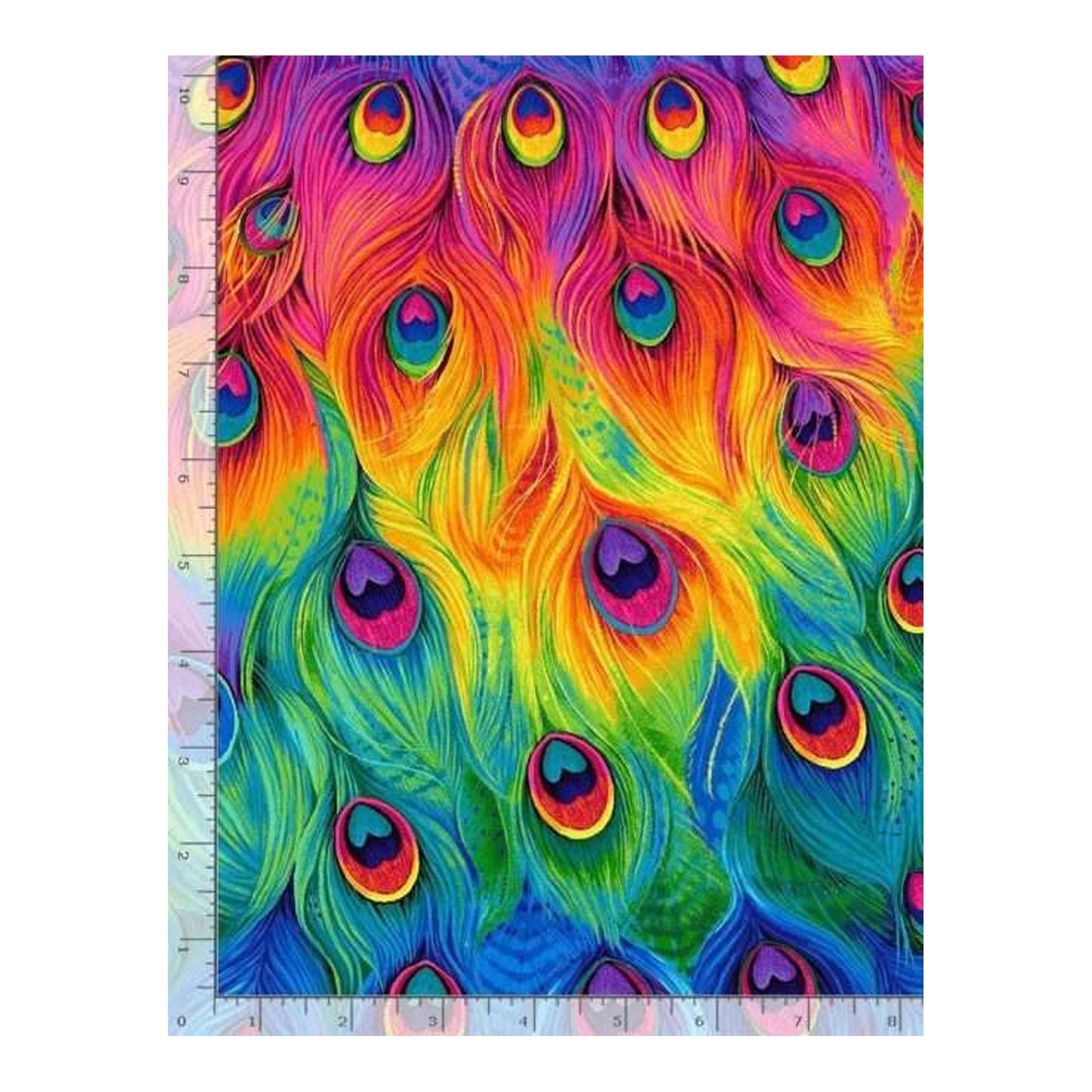 Colorful peacock feather pattern with a ruler on a white background