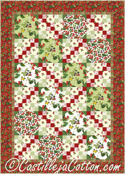 Garden Stairs Quilt CJC-53471e - Downloadable Pattern