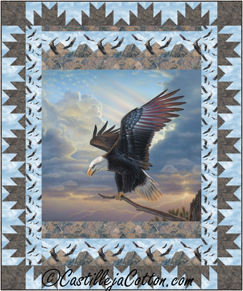 Eagle Landing Quilt Pattern CJC-57931 - Paper Pattern