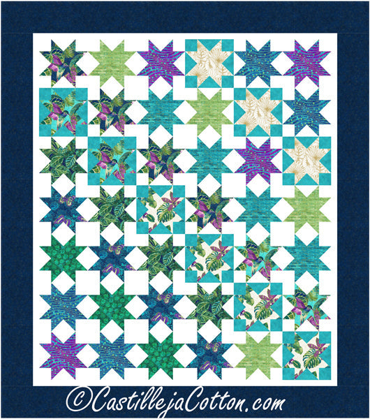 Paradise Dime Stars Quilt Pattern CJC-58162 - Paper Pattern