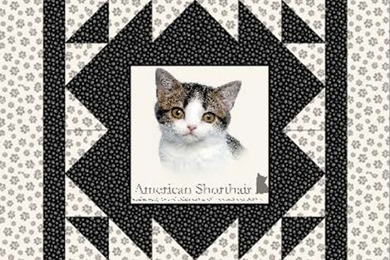 Kennel Quilts for Kitties PS-908e - Downloadable Pattern