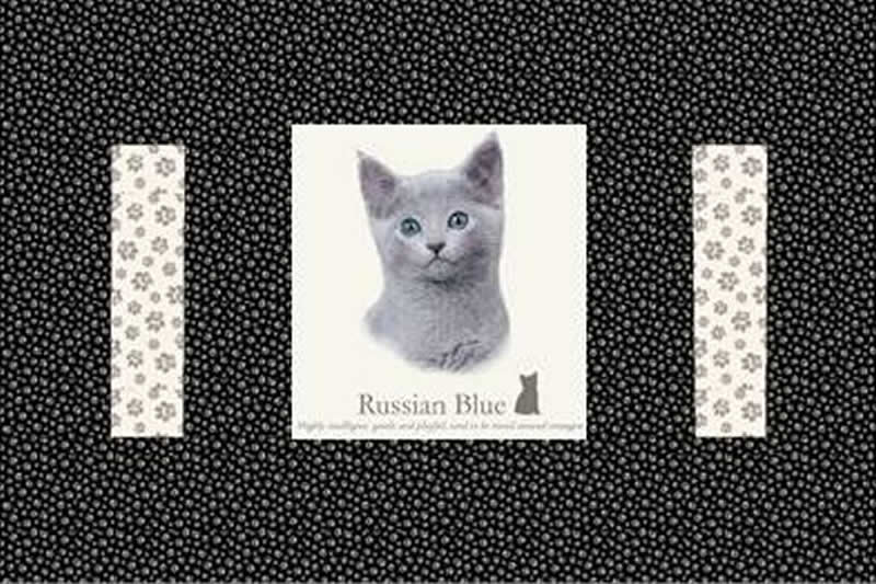 Kennel Quilts for Kitties Pattern PS-908 - Paper Pattern